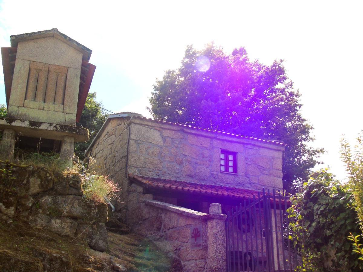 Villa Casa Da Carvalheira Parada  Esterno foto